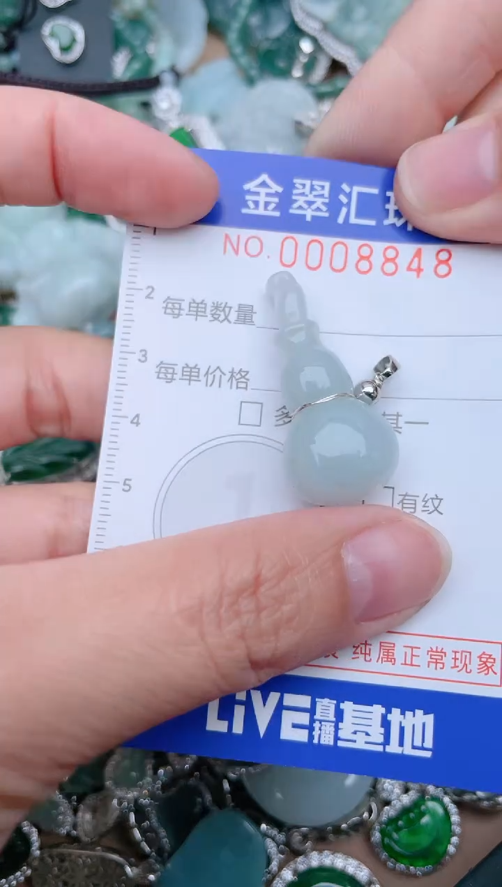 【闪购商品】翡翠颈饰未镶嵌8848...1