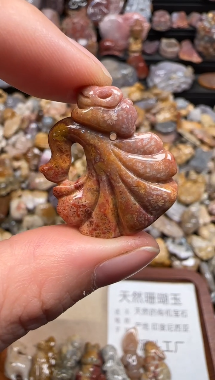 【闪购商品】硅化珊瑚（珊瑚玉）颈饰未镶嵌235