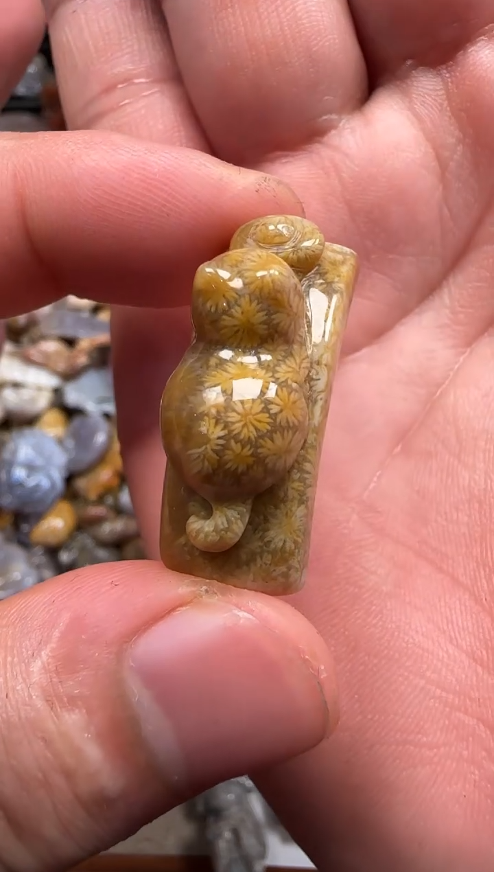 【闪购商品】硅化珊瑚（珊瑚玉）颈饰未镶嵌186