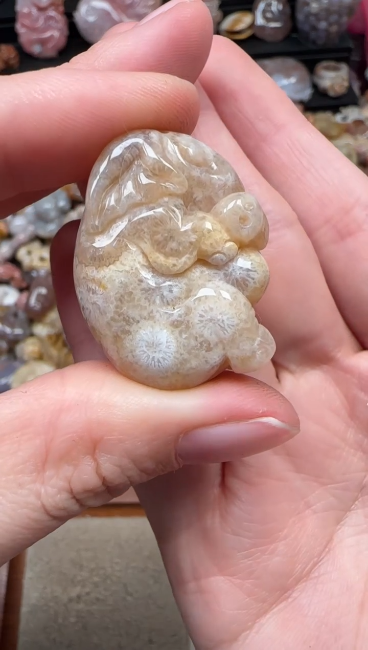 颈饰未镶嵌硅化珊瑚（珊瑚玉）790