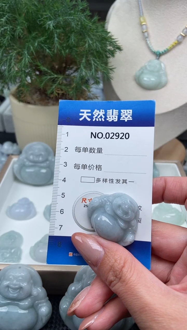 颈饰未镶嵌翡翠纯天然A货缅翡2920