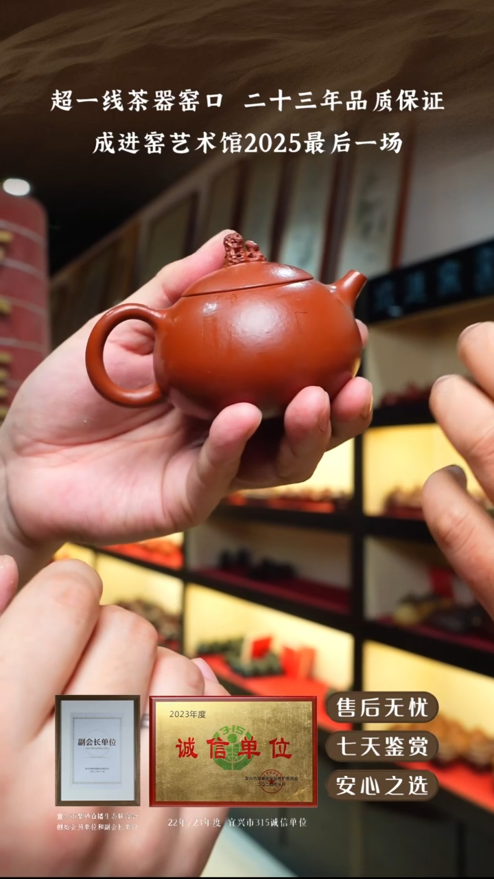 成进窑大红袍文旦160cc