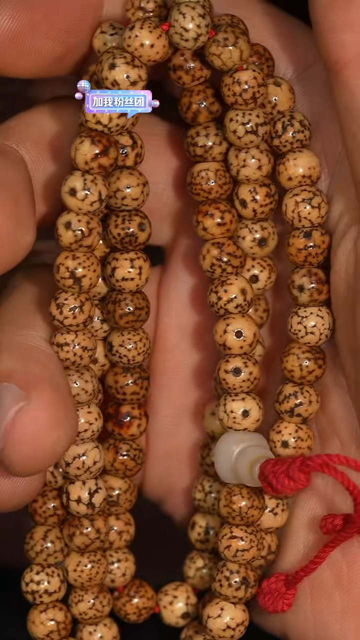 冲赛康胡子哥，藏传念珠231