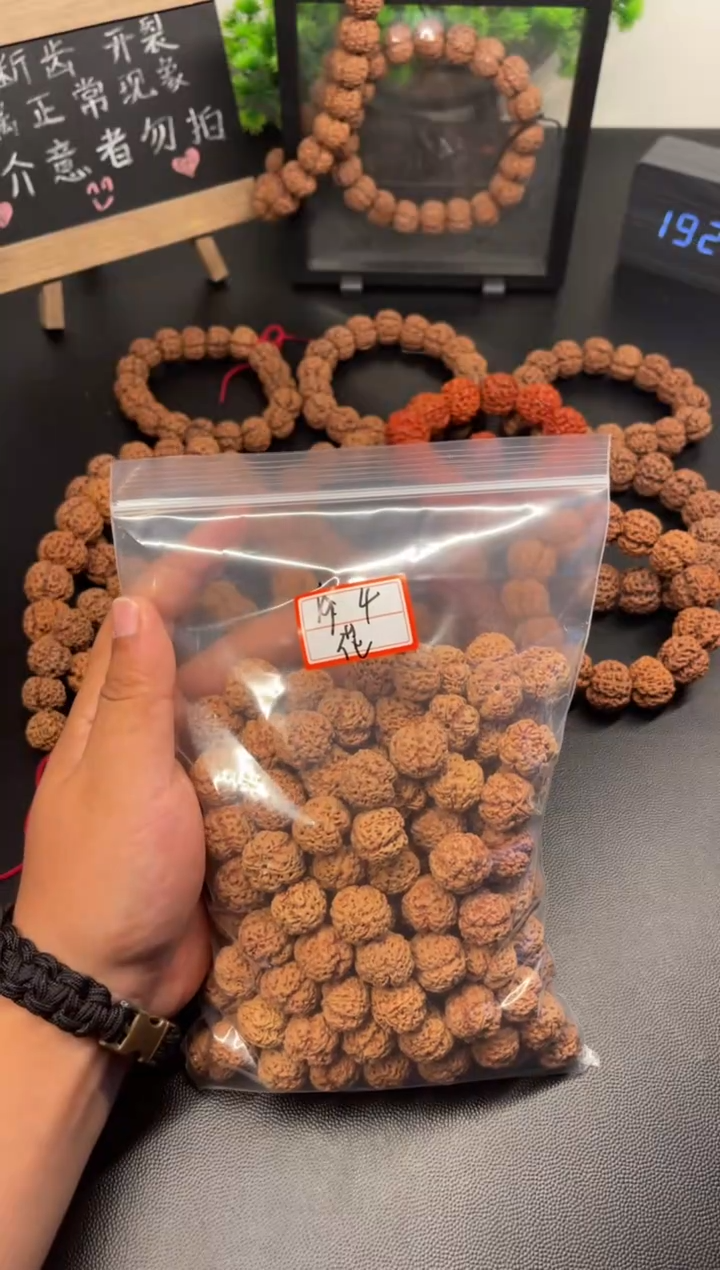 手串金刚菩提19梅花四瓣