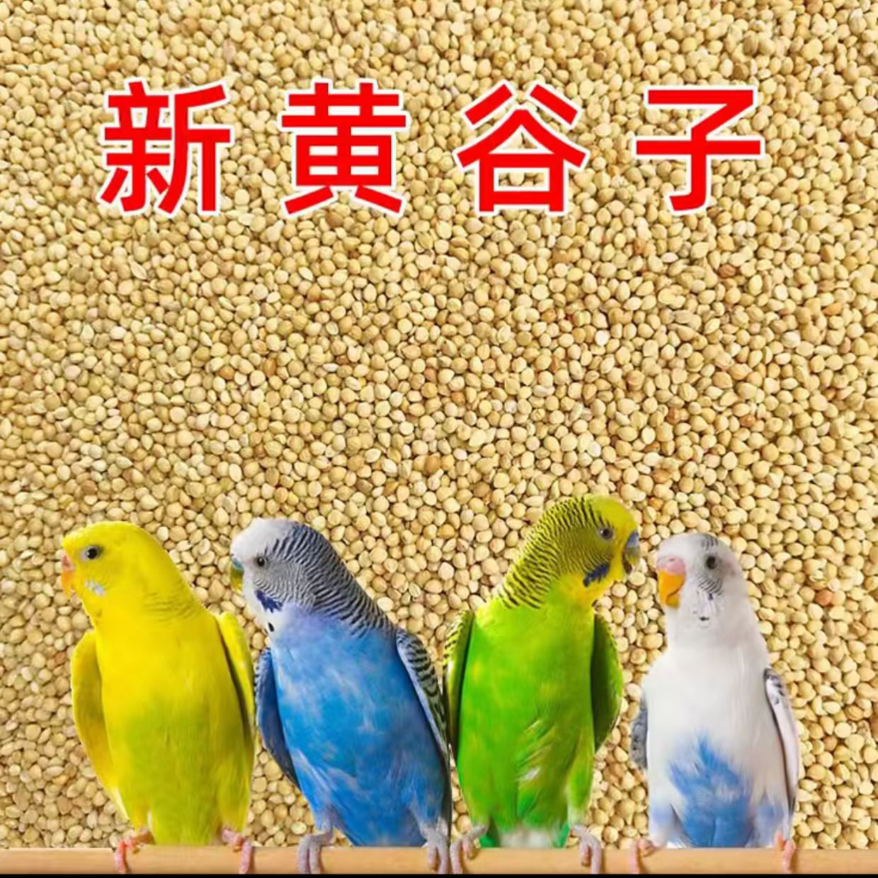 大头虎皮牡丹专用鸟粮混合粮鹦鹉专用