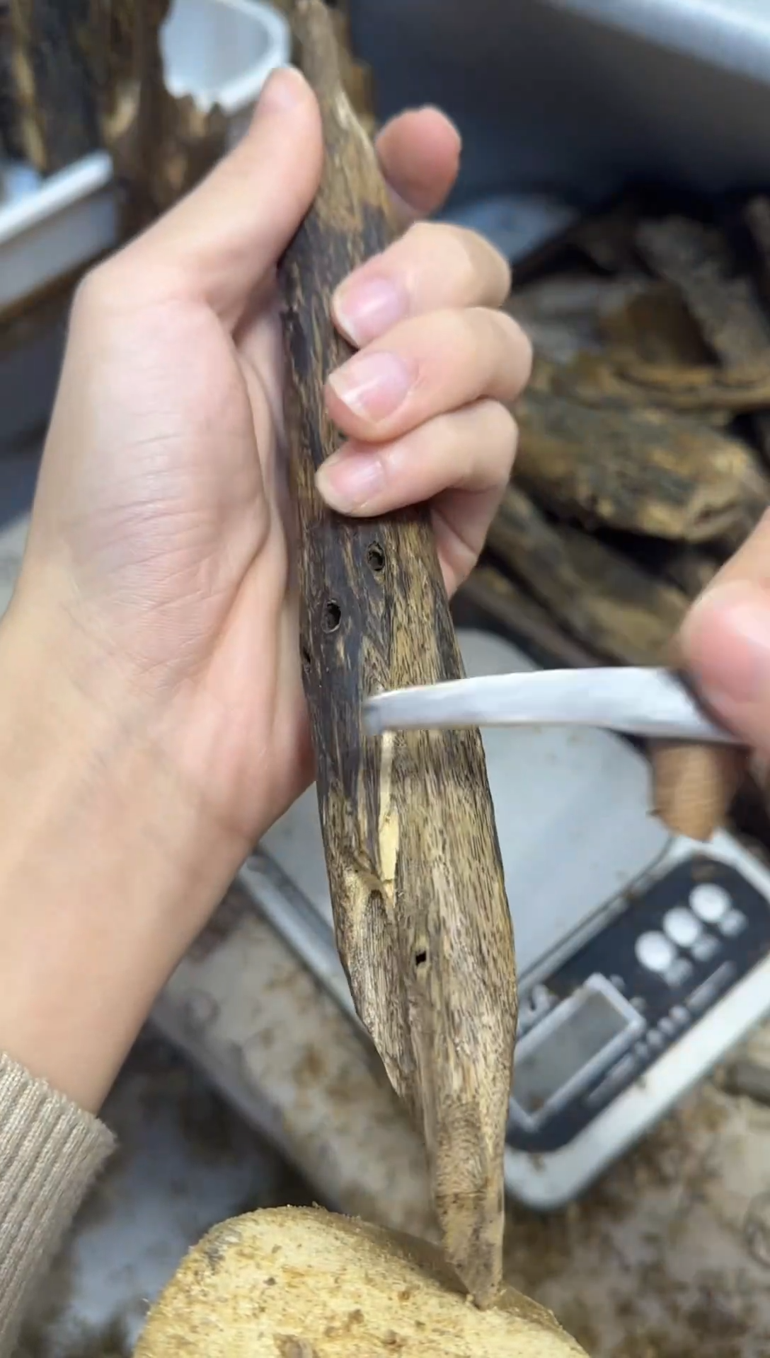 沉香沉香碎屑九九沉水海南黑棋