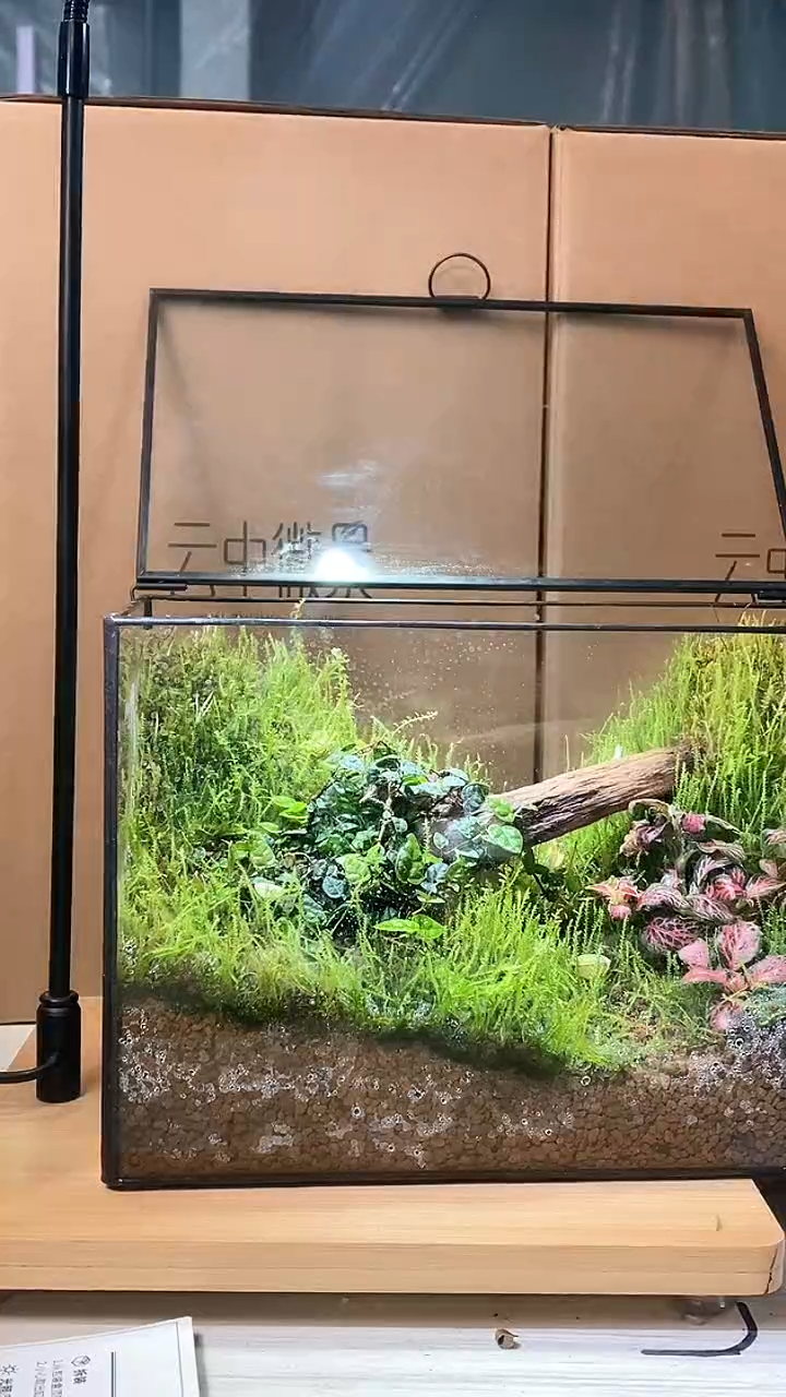 【闪购商品】孤品长款虾木缸