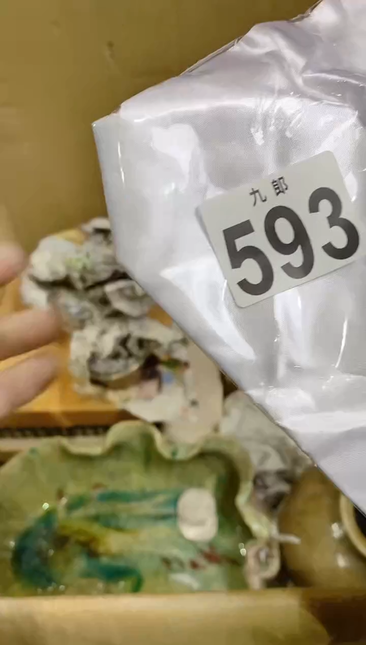 【闪购商品】瓷片593用户傲雪用户傲雪用户傲雪