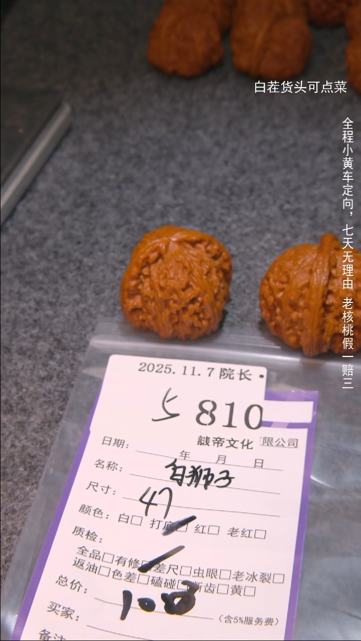 把件文玩核桃.白狮子810諘帝文化