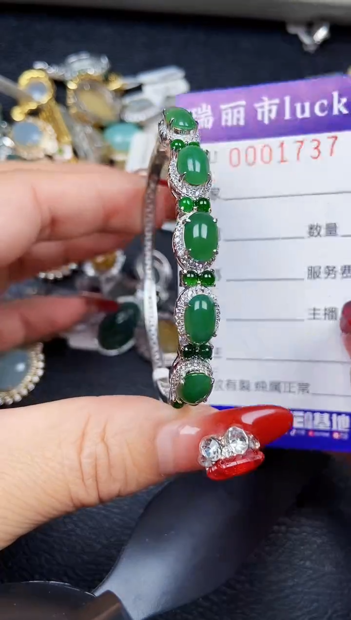 【闪购商品】翡翠颈饰银S925镶嵌1737
