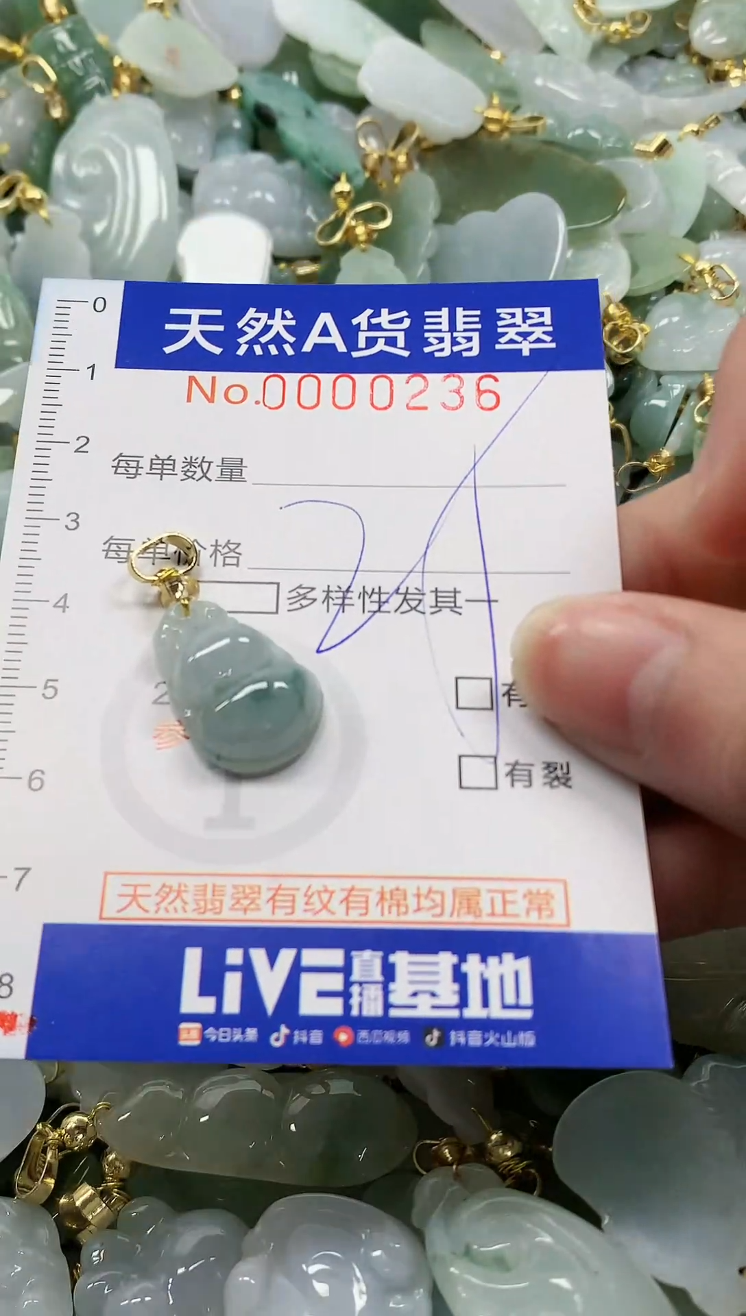 颈饰未镶嵌翡翠纯天然a货翡翠