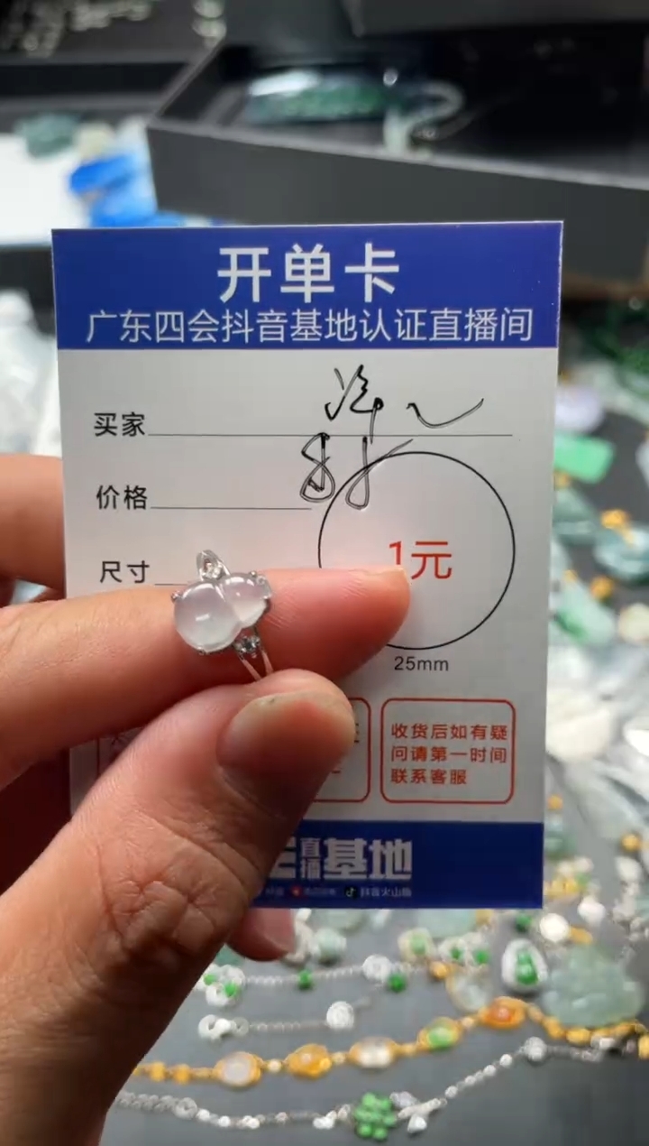 颈饰未镶嵌翡翠泽*挂件
