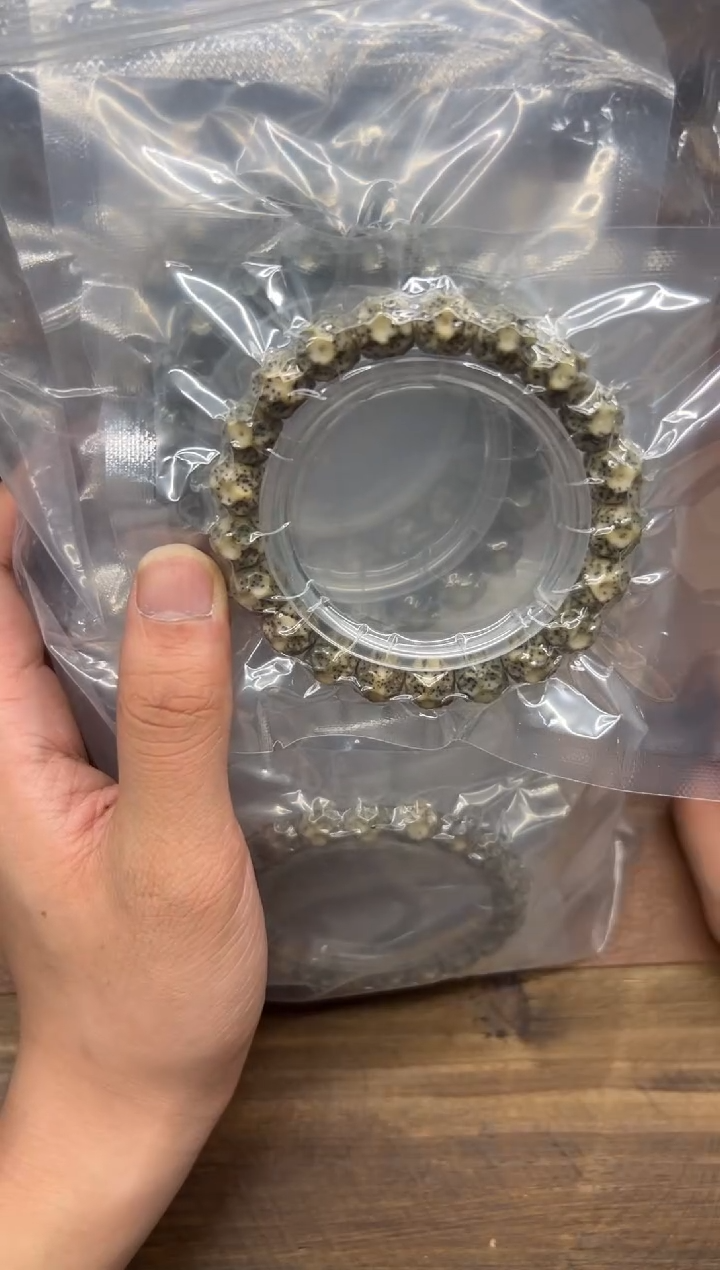 手串星月菩提10+无相 绿幽灵