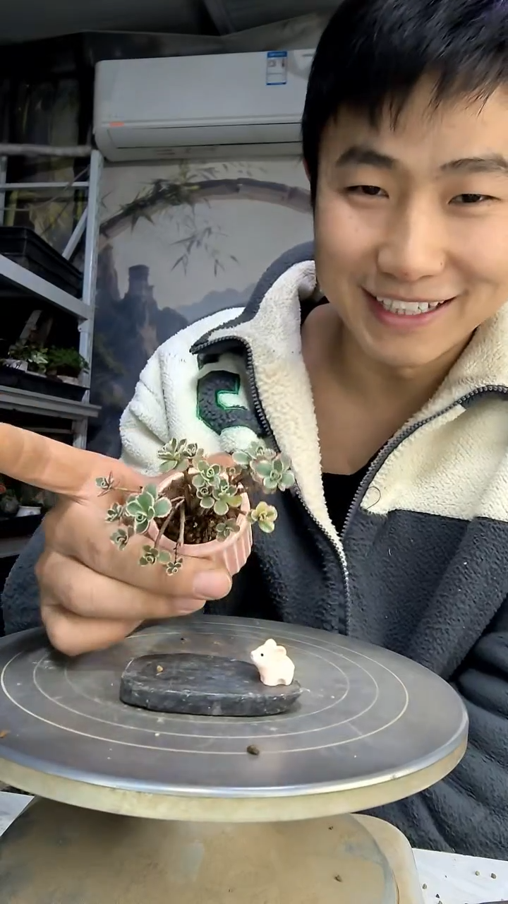 瀞**學中青园艺一物一拍花404