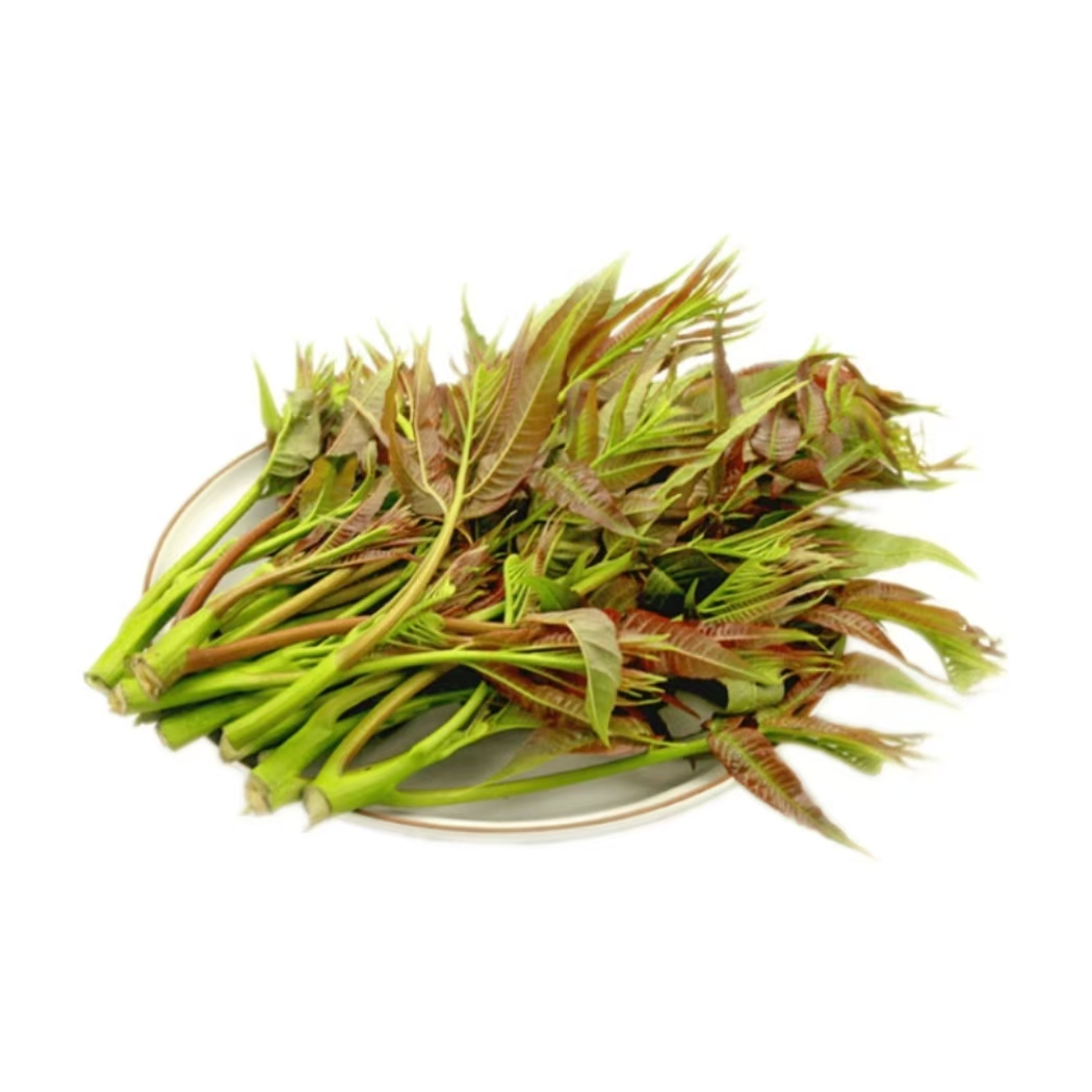 指鲜送 • 新鲜四季香椿   100g