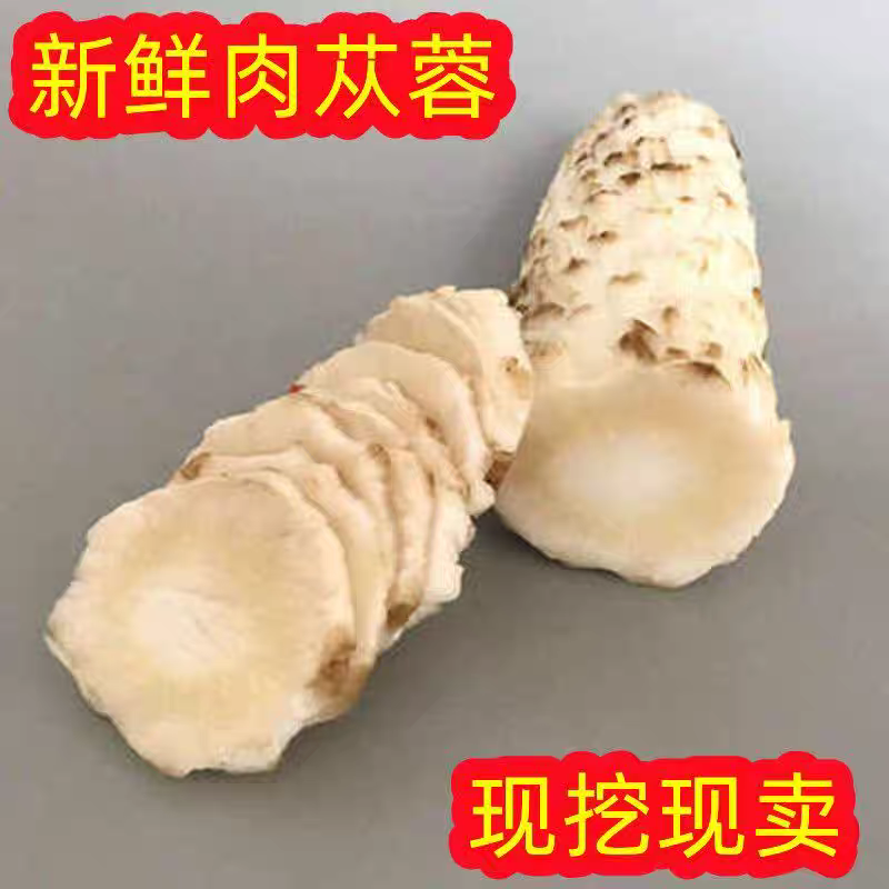 精选内蒙阿拉善肉苁蓉    周     改价