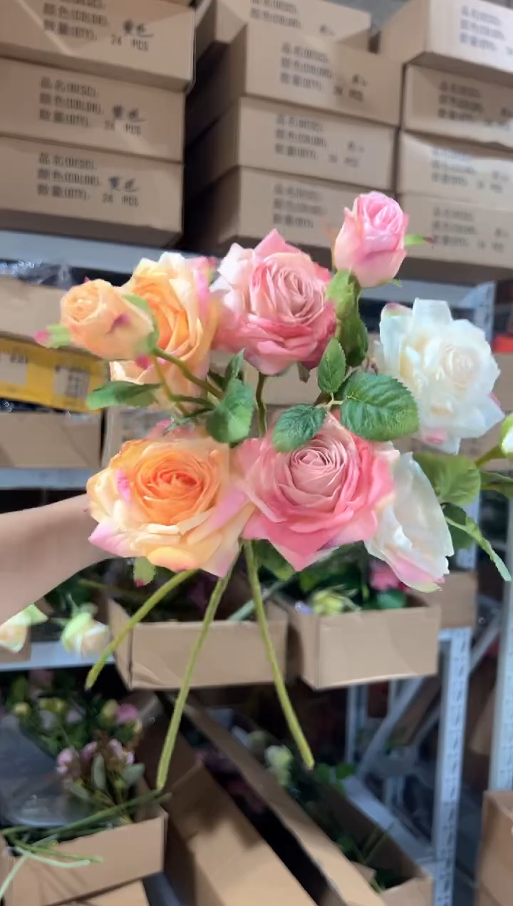 3枝混色焦边月季