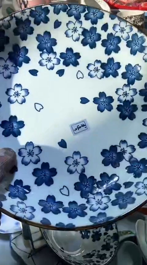 【闪购商品】瓷片6938798495146054966