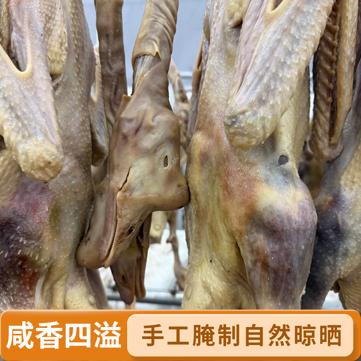【强国】安徽两年白鹅咸鹅腌制晾晒风干【带爪母鹅】腊鹅