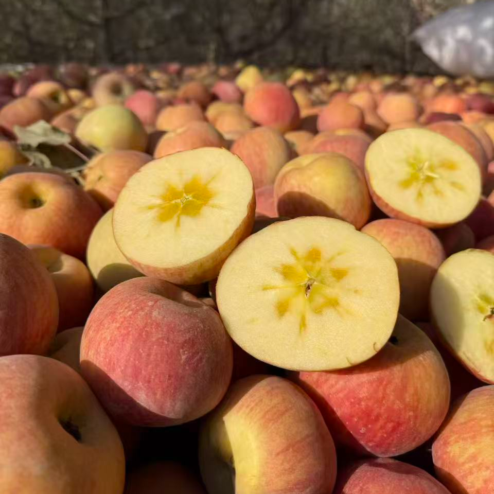 新疆阿克苏苹果脆甜精选小果