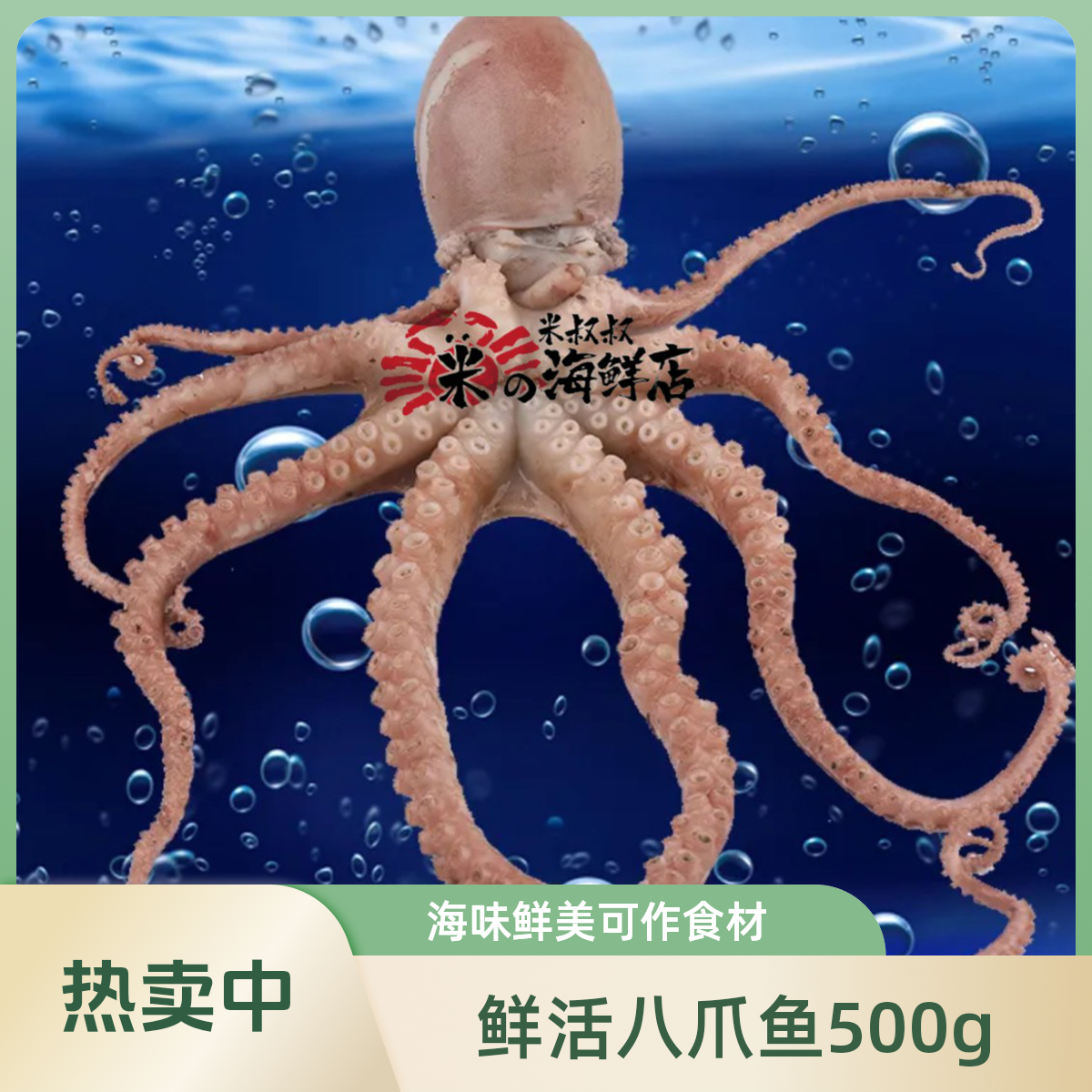 八爪鱼（鲜活）500g