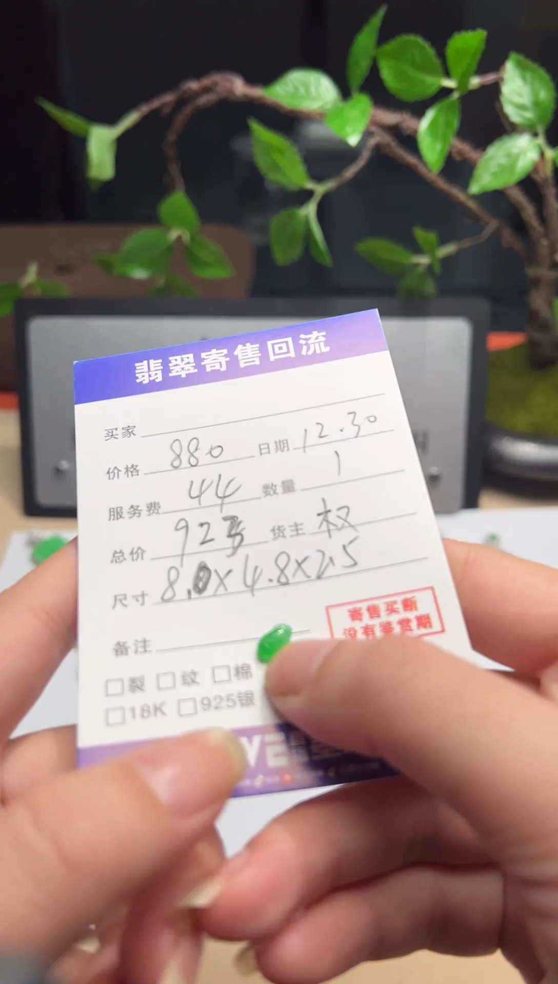 颈饰未镶嵌翡翠绿貔貅裸石