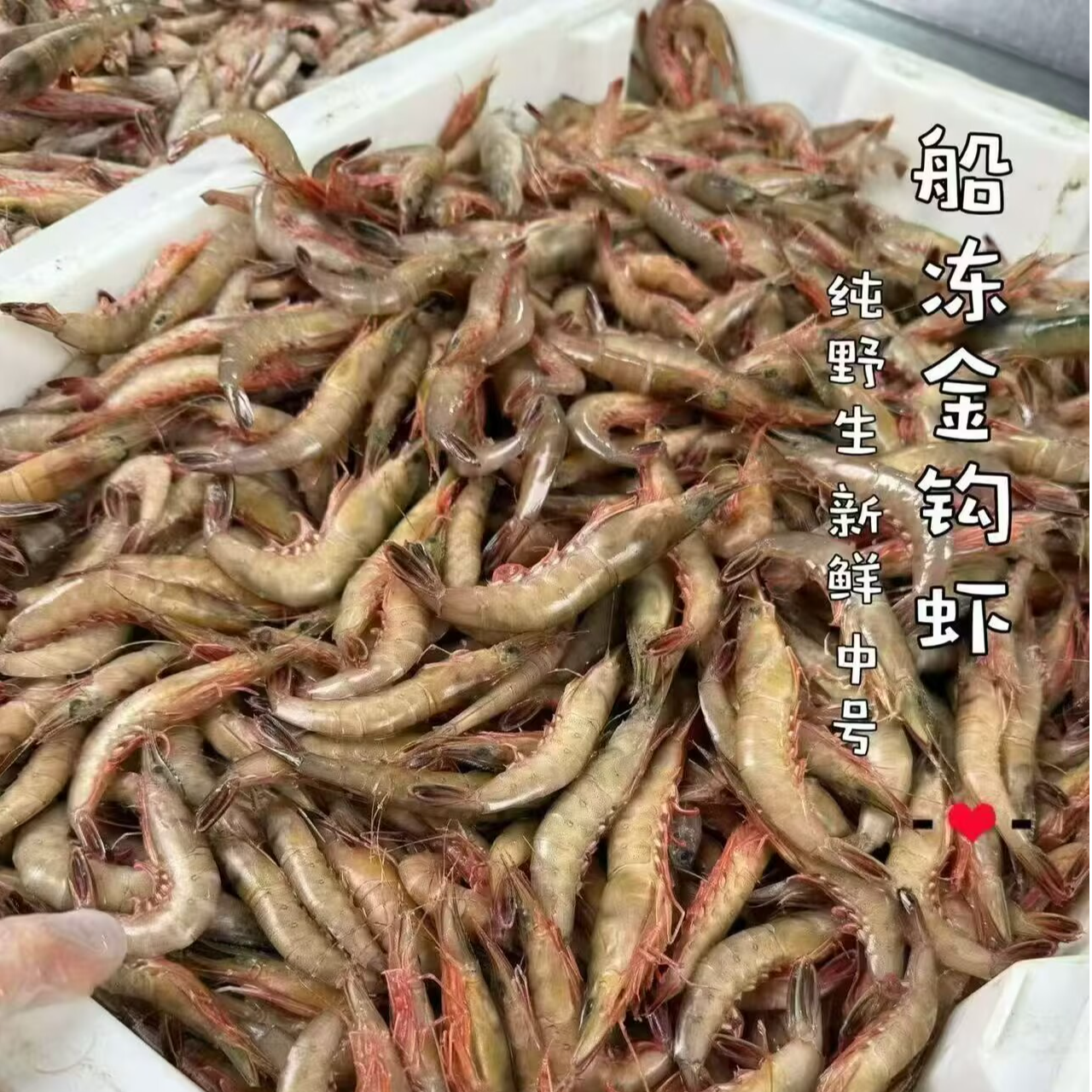 国产金钩虾 野生海捕船冻虾 