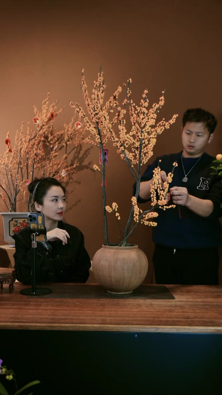 【闪购商品】盆景橙梦境