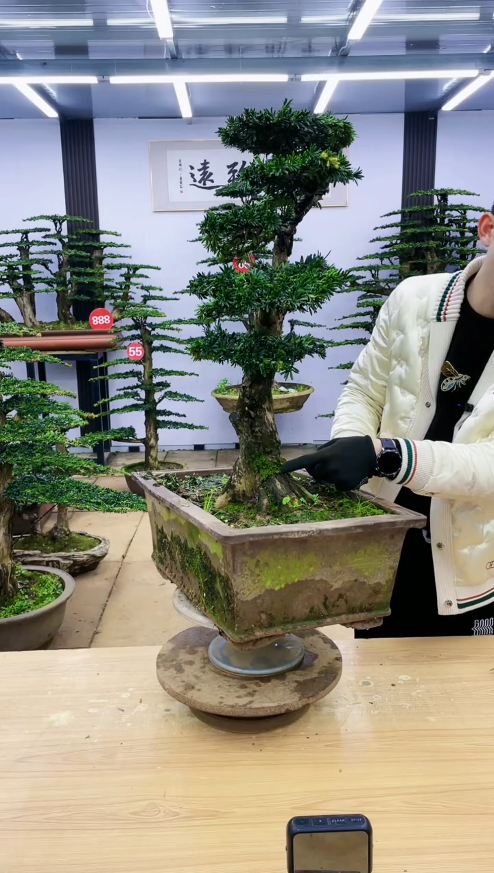 【闪购商品】000000000