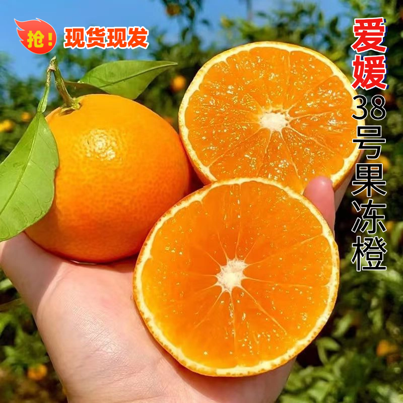 【小小专属】四川眉山爱媛38号果冻橙新鲜应季水果皮薄多汁