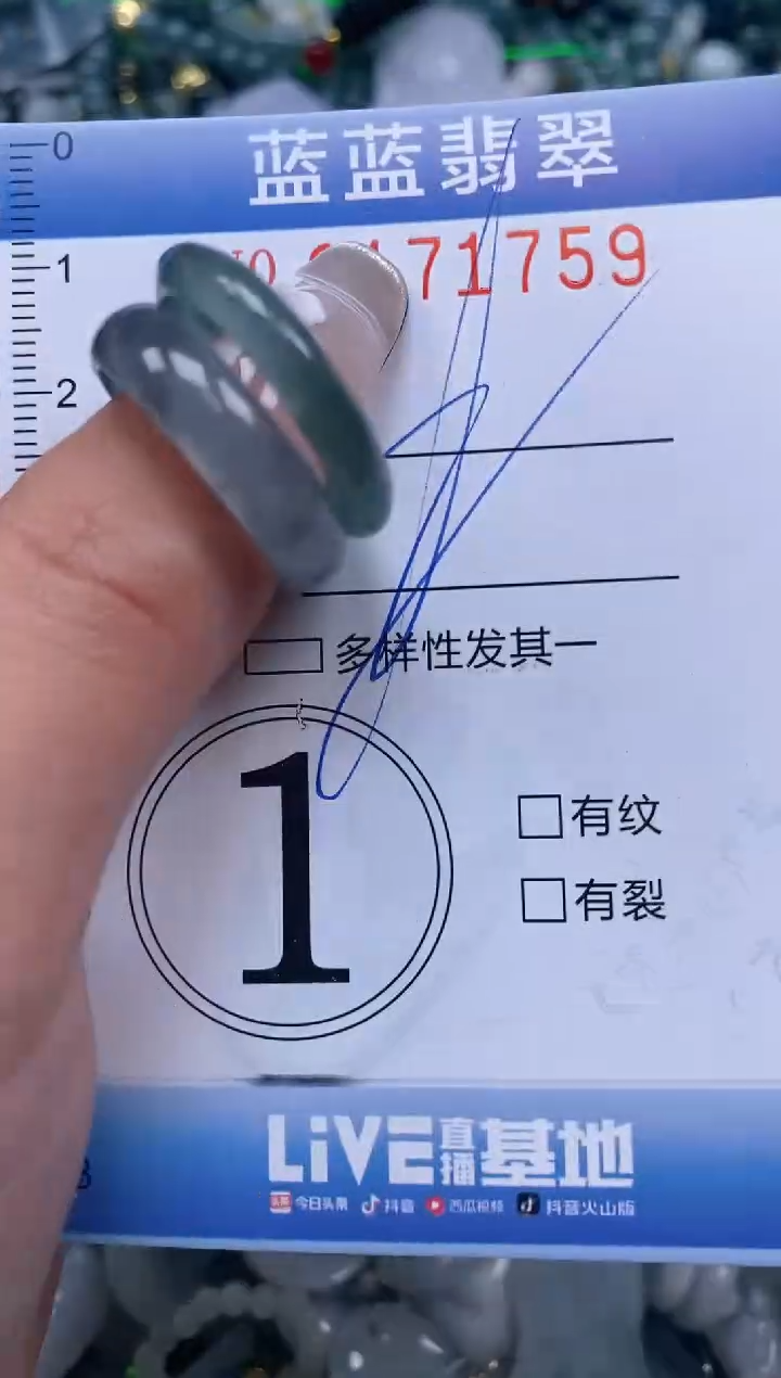 【闪购商品】翡翠颈饰未镶嵌闪购0171759