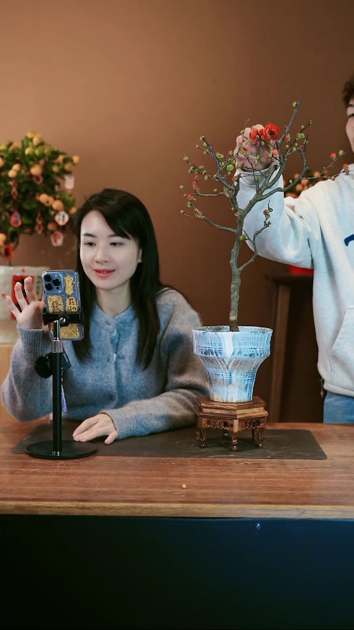 【闪购商品】盆景海棠花