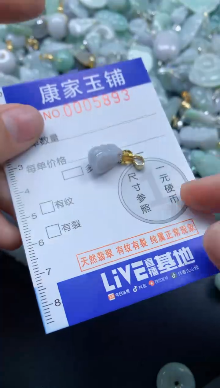 颈饰未镶嵌翡翠5893