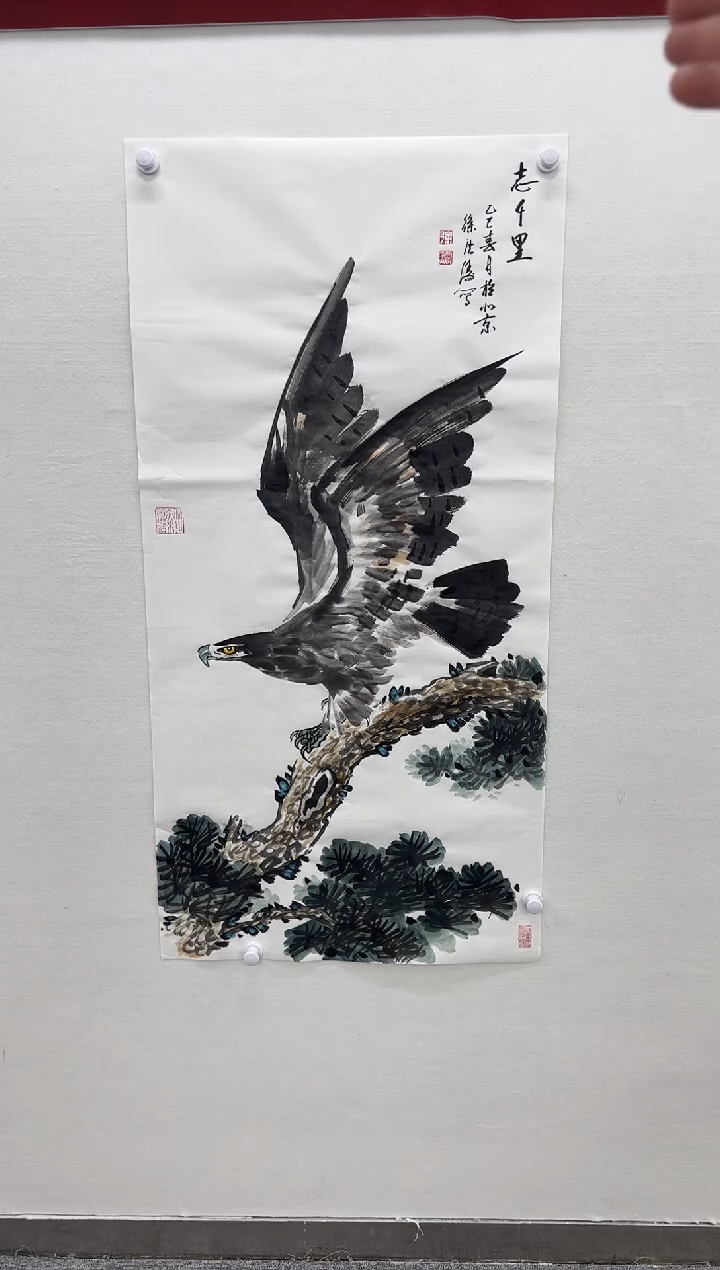 【闪购商品】书法徐庐陵-八平尺国画鹰