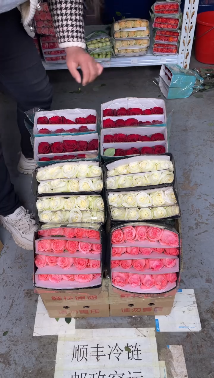 高原红20枝+戴安娜20枝+骄傲20枝