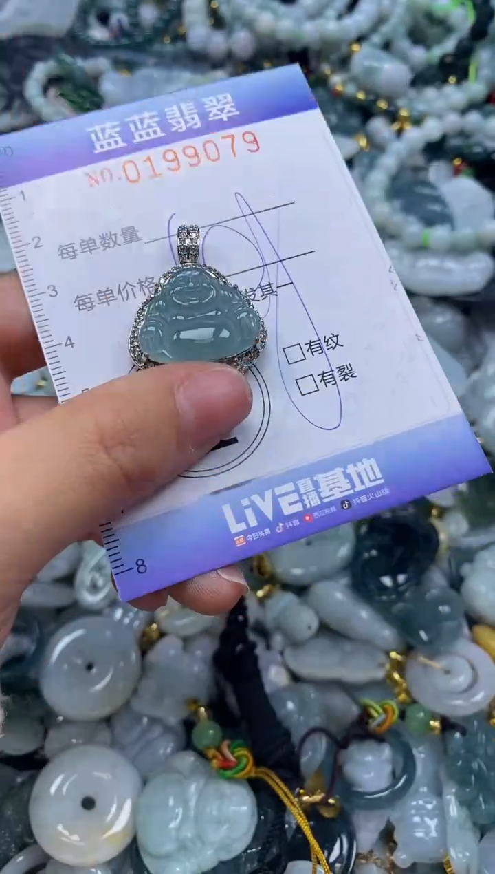 翡翠未镶嵌颈饰闪购0199079