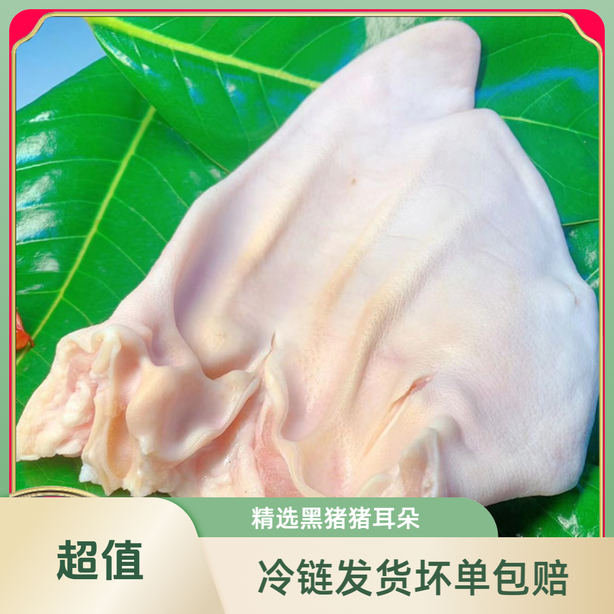 猪耳朵新鲜农家土猪现杀卤菜猪耳朵带根京东顺丰包邮黑猪耳朵无毛