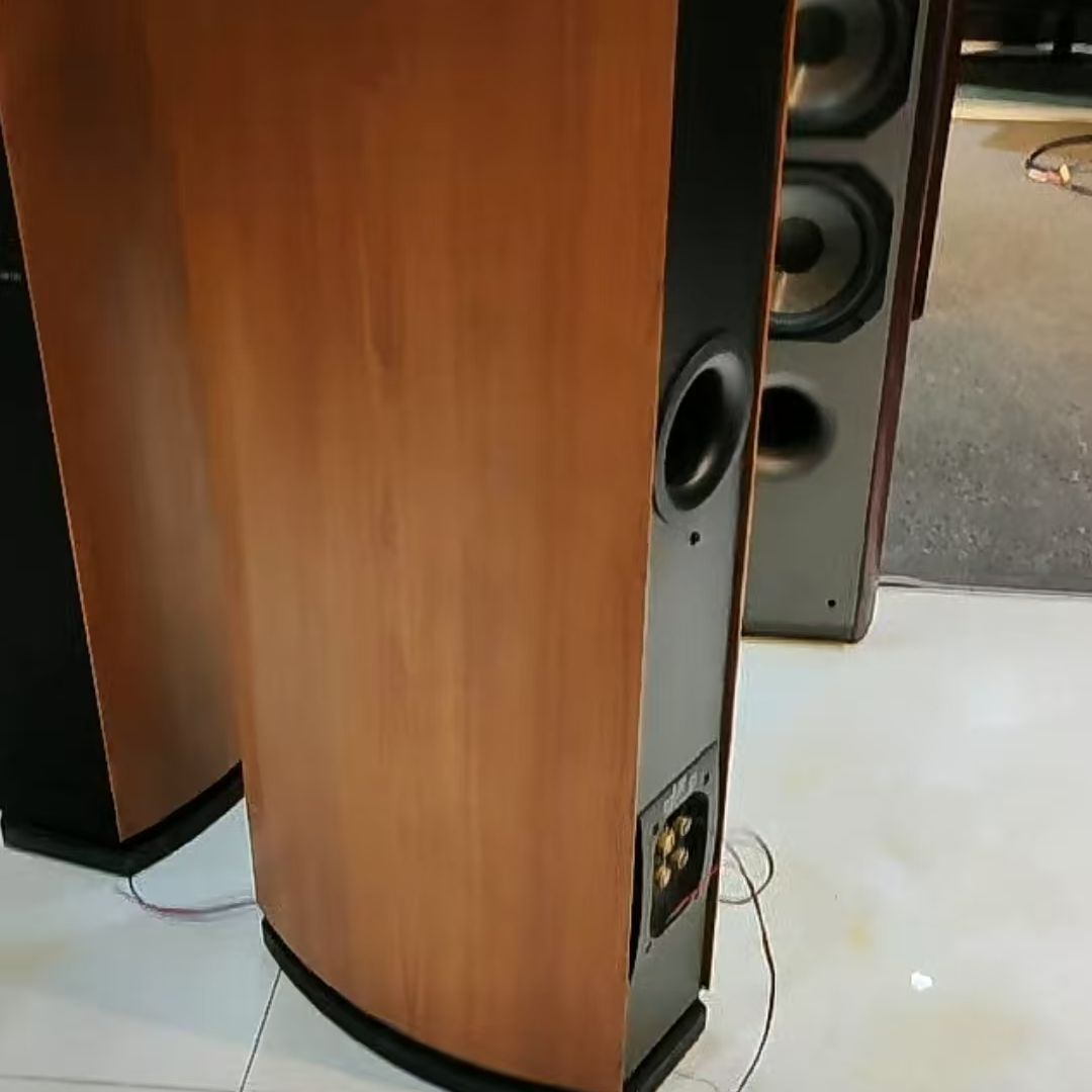 9新  ZZ音响运费自理