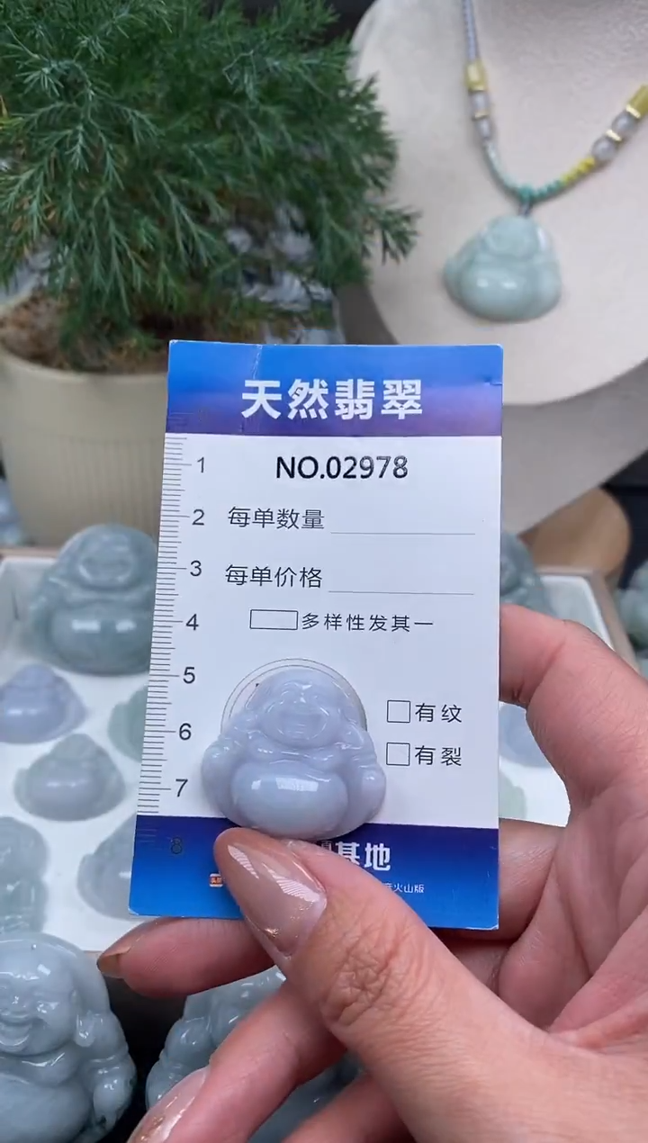 颈饰未镶嵌翡翠纯天然A货缅翡2978