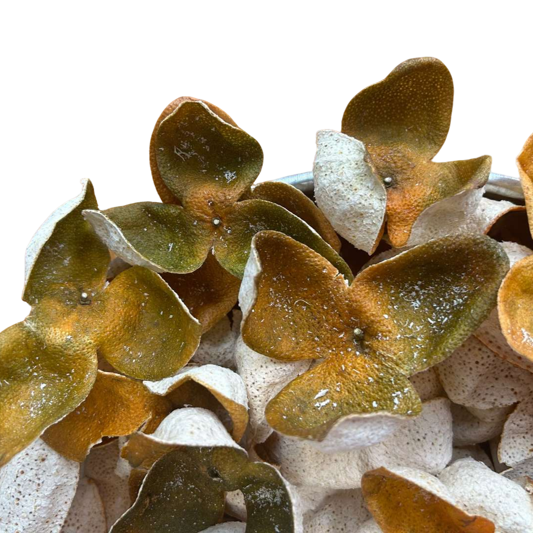 （收藏级茶枝柑二红）2025年浦北 31年老树陈皮