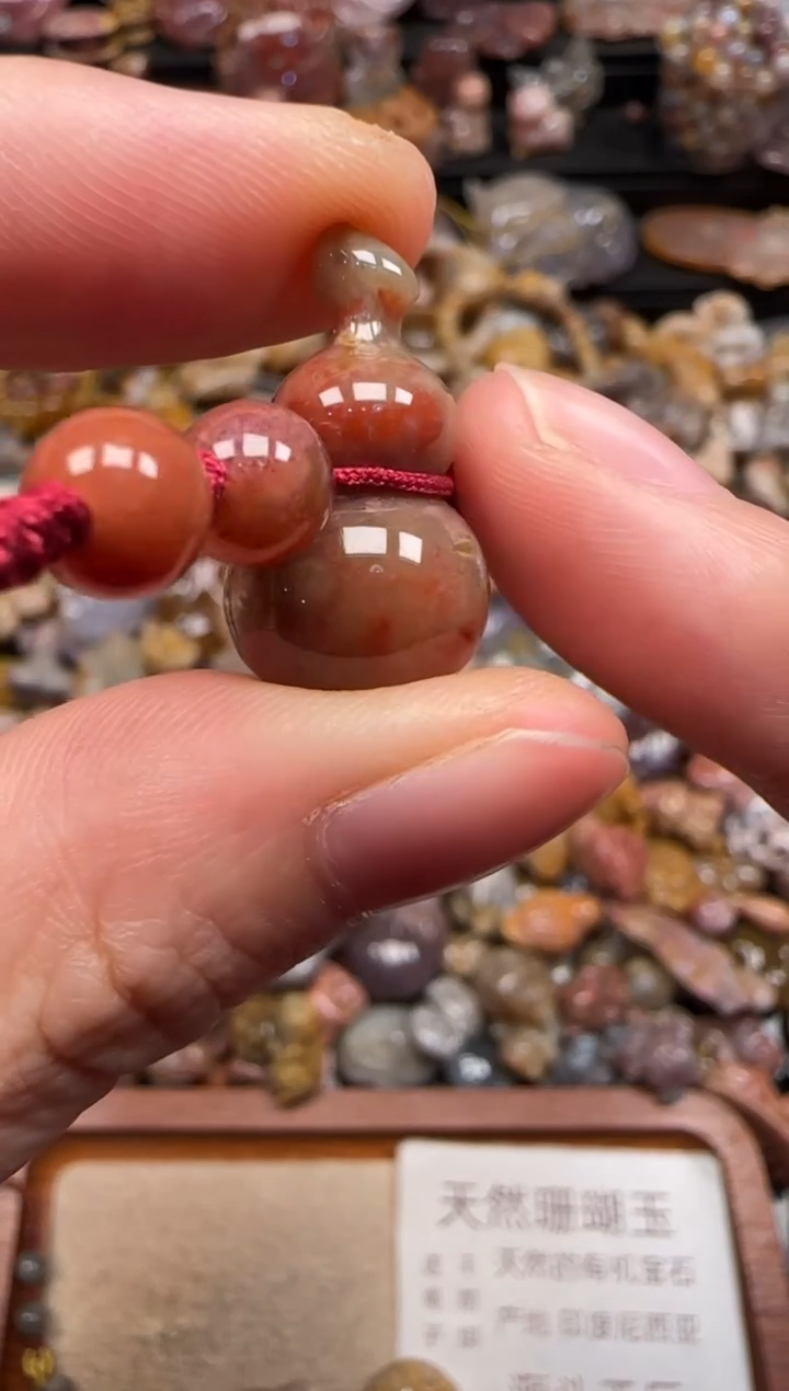 硅化珊瑚（珊瑚玉）未镶嵌颈饰548