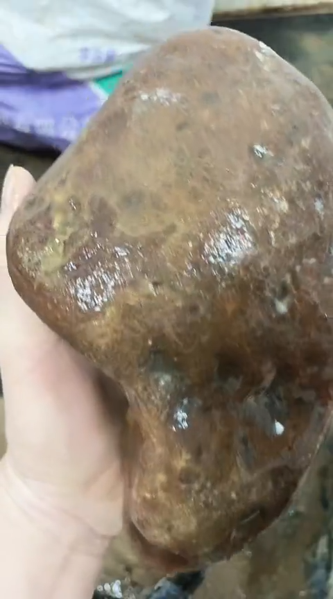 定制玛瑙你*吗原始600292