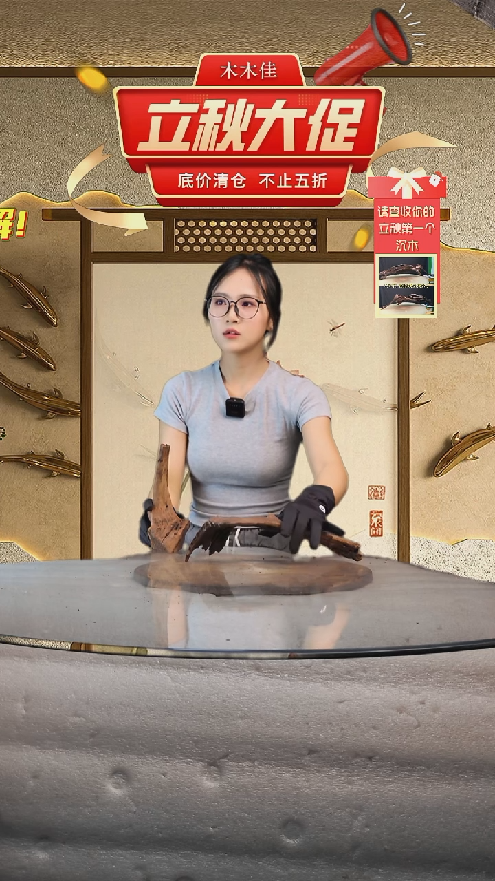 阿*木木佳鱼缸造景沉木-064