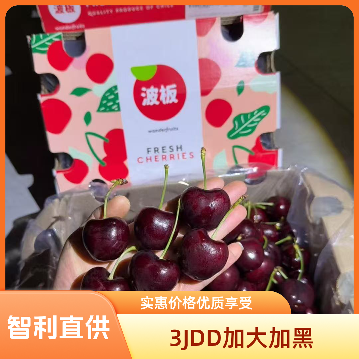 3JDD 桑提娜  波版 海运 车厘子  净重3J-4J 5斤装 内附果径卡 送草莓桑提娜樱桃智利共和国