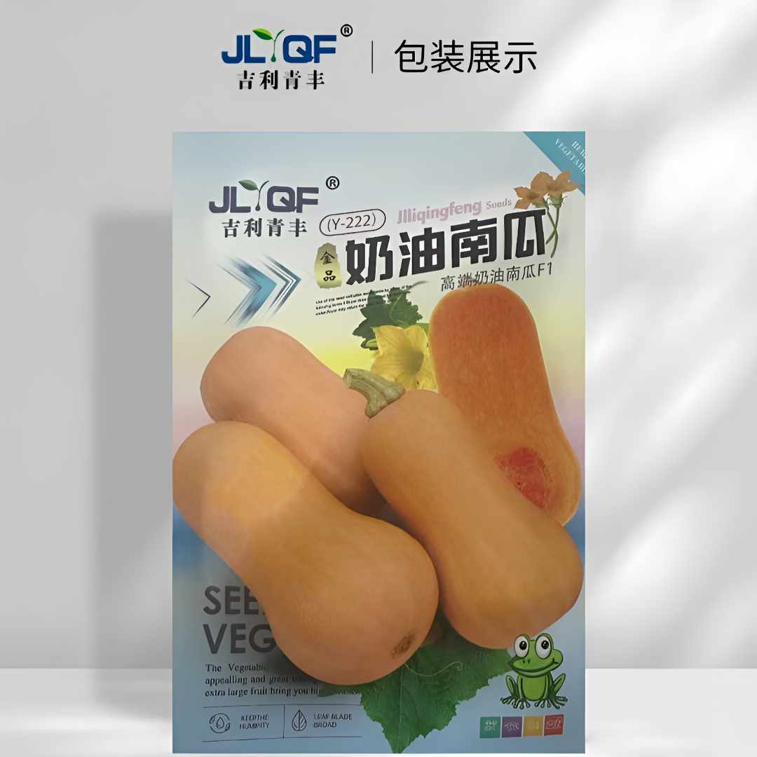 金品奶油南瓜种籽田园农家基地均可种植