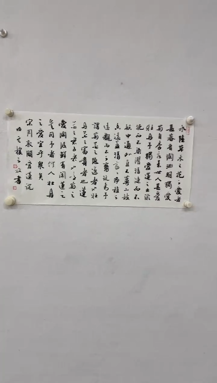 【闪购商品】国画天津人美-FF-书法