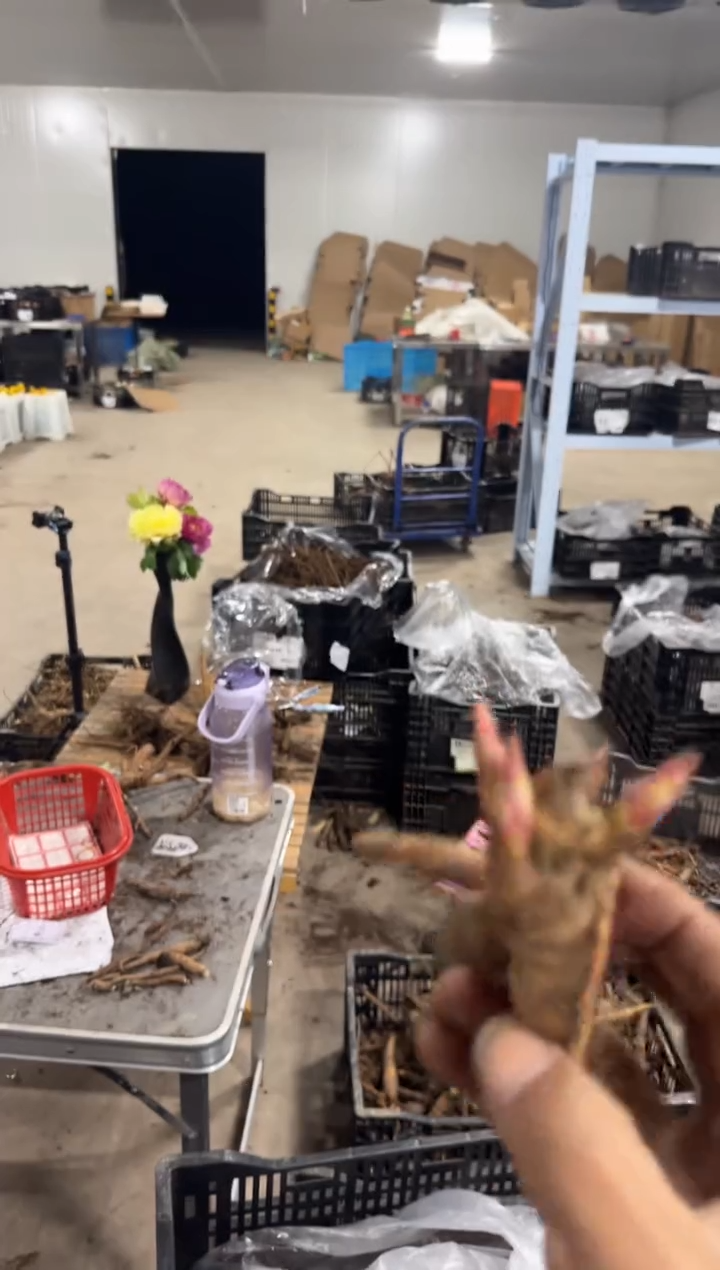 十**廊69.9  奥迪   十里花廊