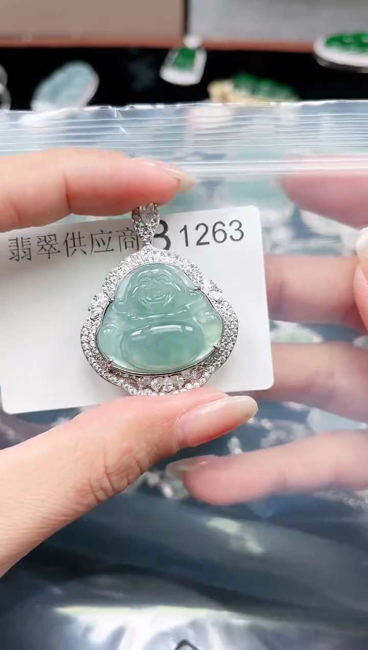 【闪购商品】翡翠颈饰未镶嵌1263赠皮绳