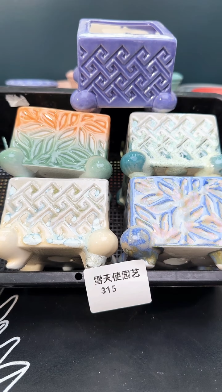 3  15小蛙腿盆 5 个默认微瑕