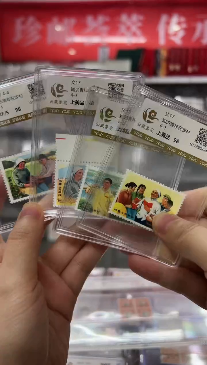 文17 知识青年在农村全套